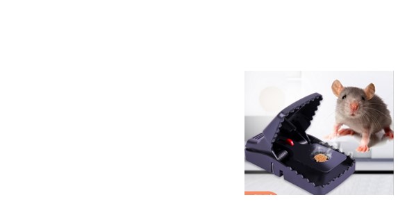 banner1